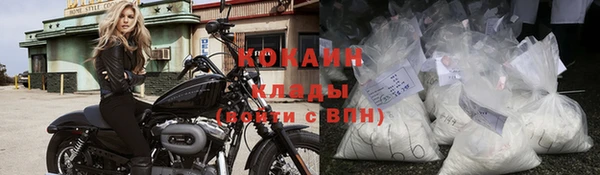 дмт Заводоуковск