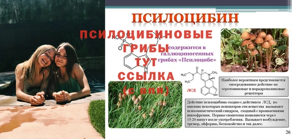 прущая мука Семёнов