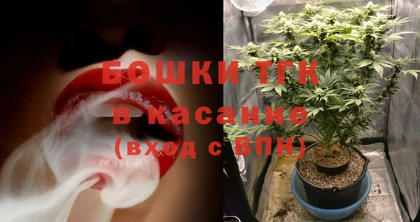 дмт Заводоуковск
