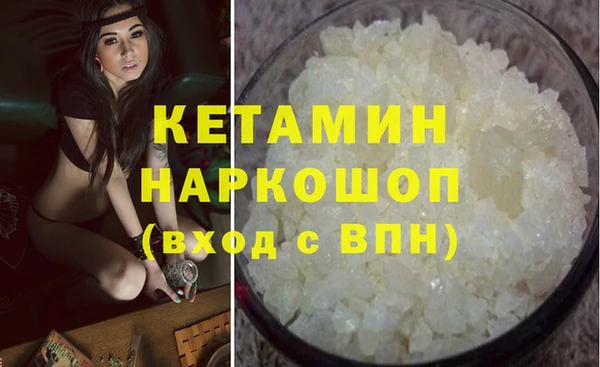 сатива Елабуга