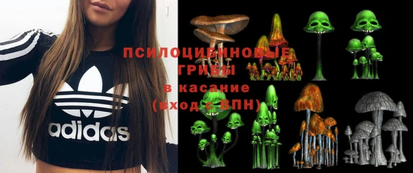 соль ск Заволжск