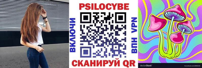 Псилоцибиновые грибы Psilocybine cubensis Свободный