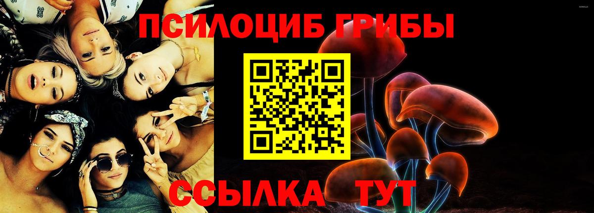 Галлюциногенные грибы GOLDEN TEACHER Свободный