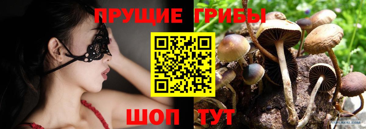Свободный  Галлюциногенные грибы Cubensis  Вход с VPN  Псилоцибиновые грибы Psilocybine cubensis 